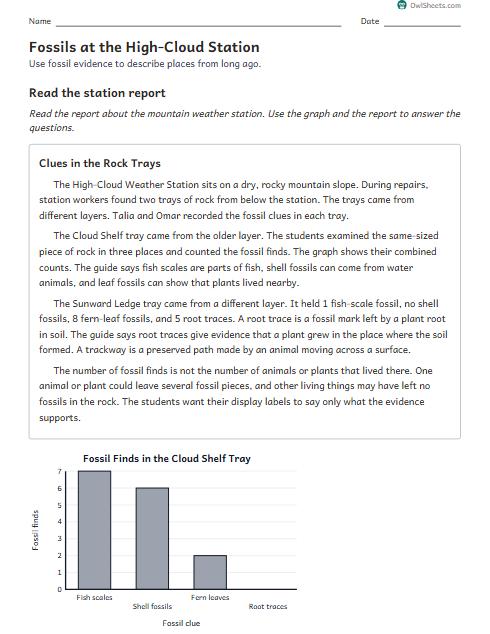 Fossils at the High-Cloud Station worksheet preview
