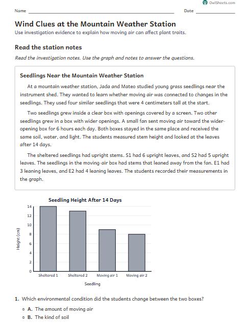 Wind Clues at the Mountain Weather Station worksheet preview