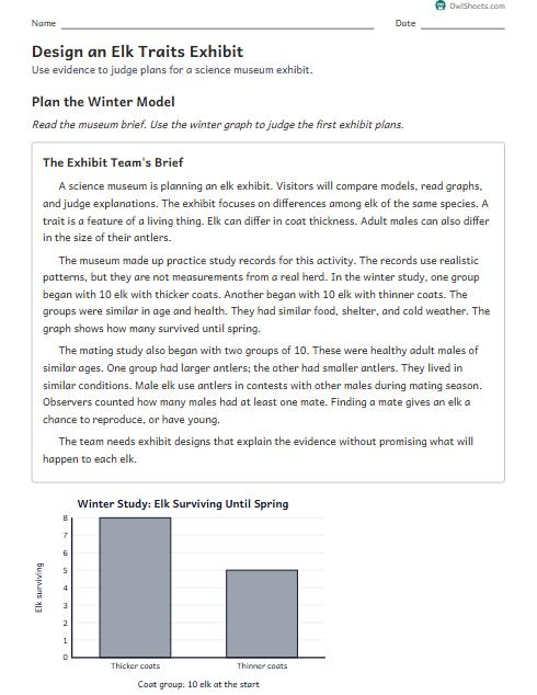 Design an Elk Traits Exhibit worksheet preview