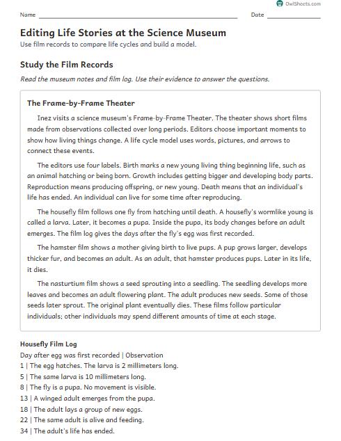Editing Life Stories at the Science Museum worksheet preview
