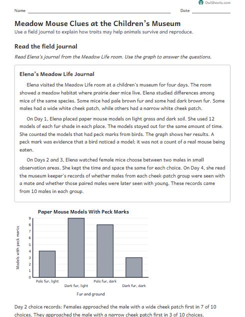 Meadow Mouse Clues at the Children’s Museum worksheet preview