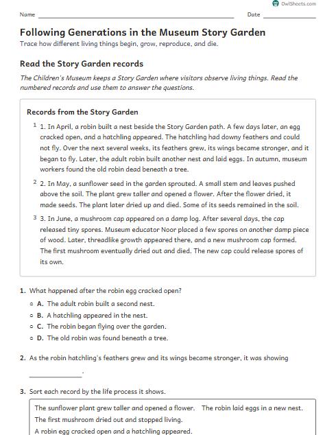 Following Generations in the Museum Story Garden worksheet preview