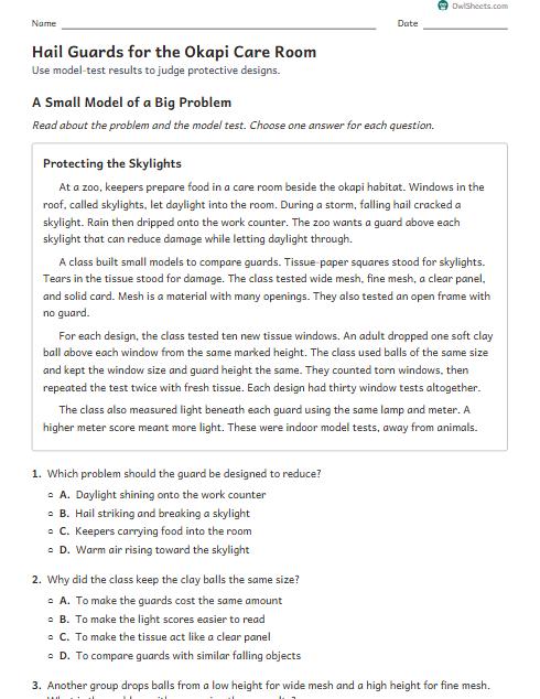 Hail Guards for the Okapi Care Room worksheet preview