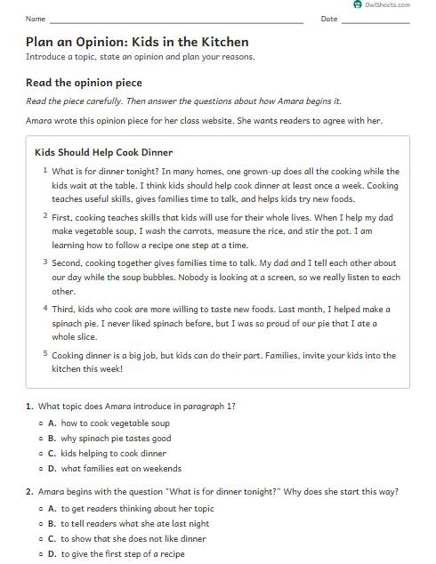 Plan an Opinion: Kids in the Kitchen worksheet preview