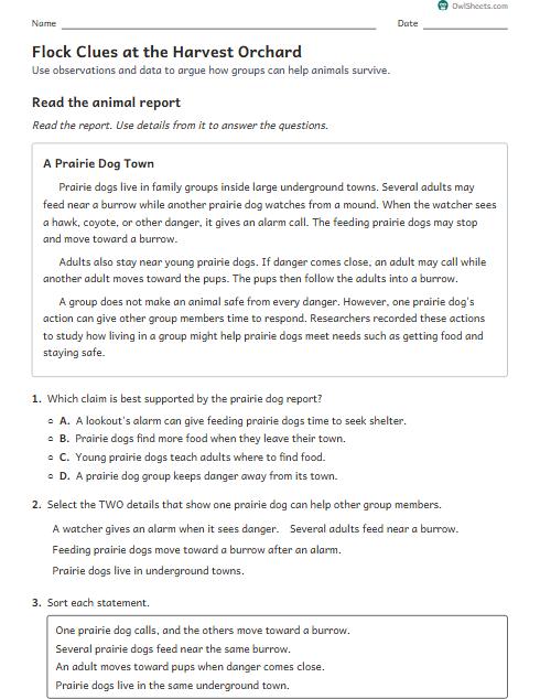 Flock Clues at the Harvest Orchard worksheet preview