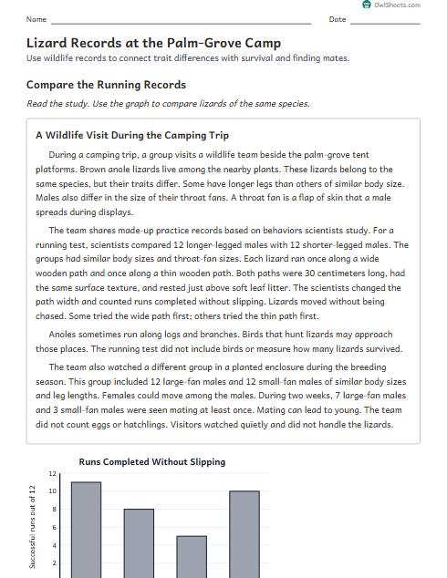 Lizard Records at the Palm-Grove Camp worksheet preview