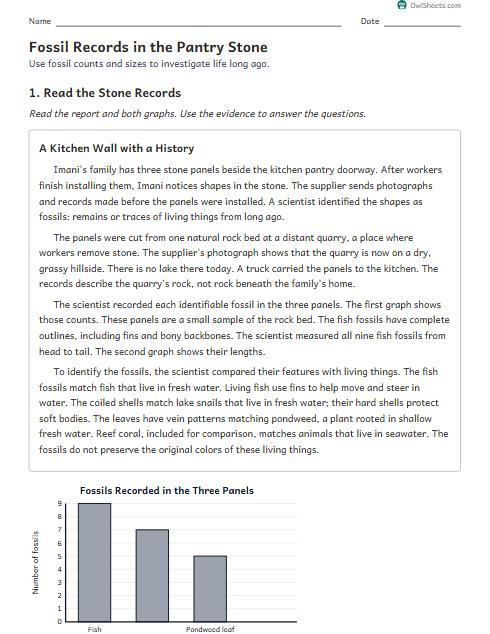Fossil Records in the Pantry Stone worksheet preview