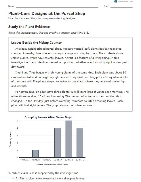 Plant-Care Designs at the Parcel Shop worksheet preview