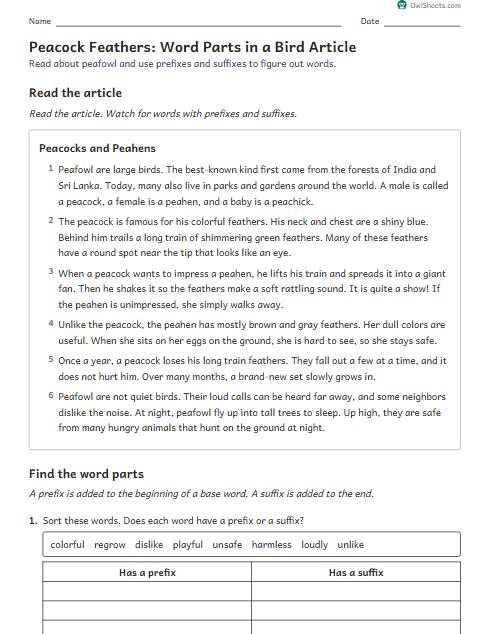 Peacock Feathers: Word Parts in a Bird Article worksheet preview