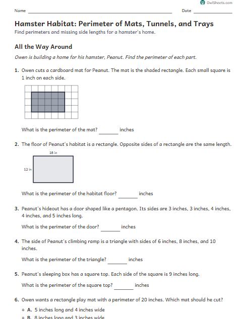 Hamster Habitat: Perimeter of Mats, Tunnels, and Trays worksheet preview