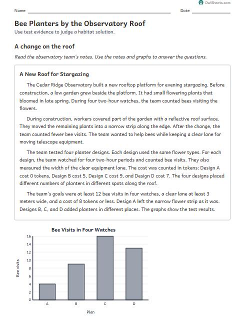Bee Planters by the Observatory Roof worksheet preview
