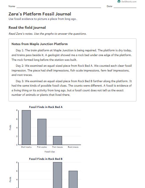 Zara's Platform Fossil Journal worksheet preview