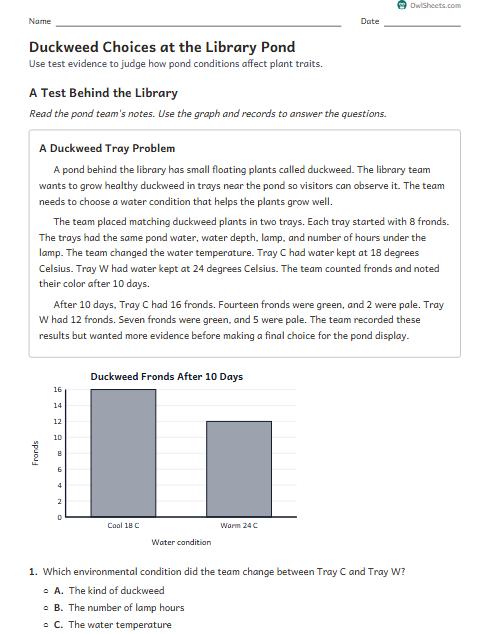 Duckweed Choices at the Library Pond worksheet preview