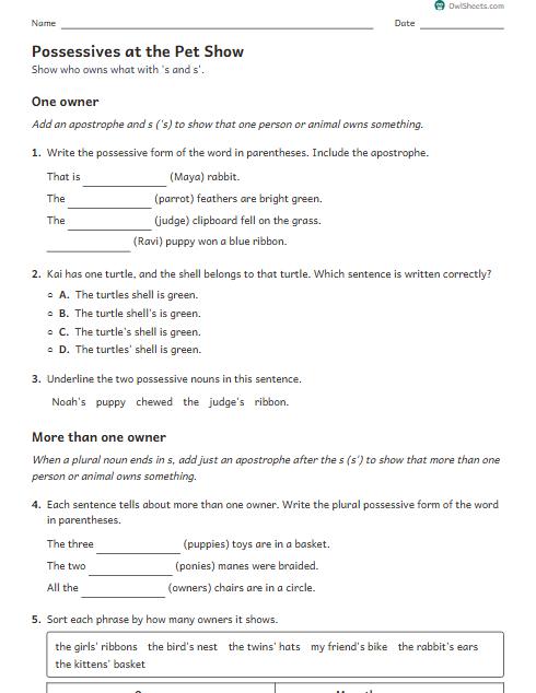 Possessives at the Pet Show worksheet preview