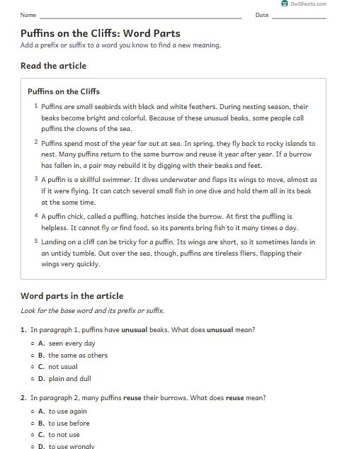 Puffins on the Cliffs: Word Parts worksheet preview
