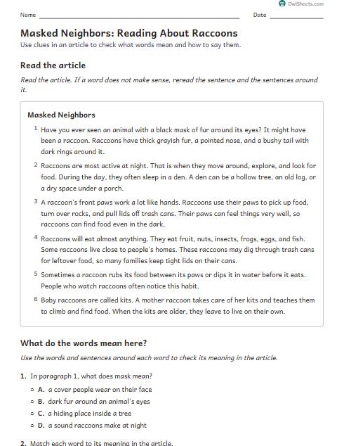 Masked Neighbors: Reading About Raccoons worksheet preview