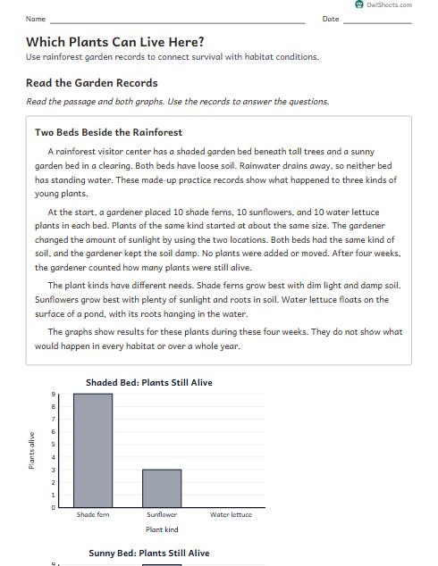 Which Plants Can Live Here? worksheet preview