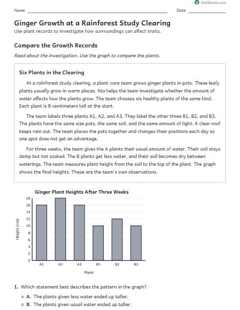 Ginger Growth at a Rainforest Study Clearing worksheet preview