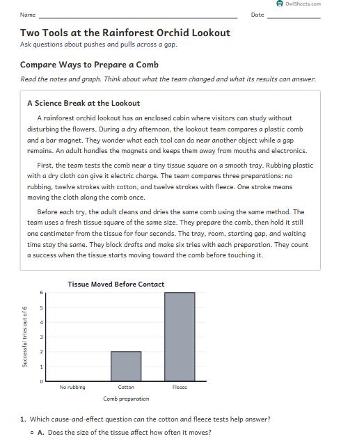 Two Tools at the Rainforest Orchid Lookout worksheet preview