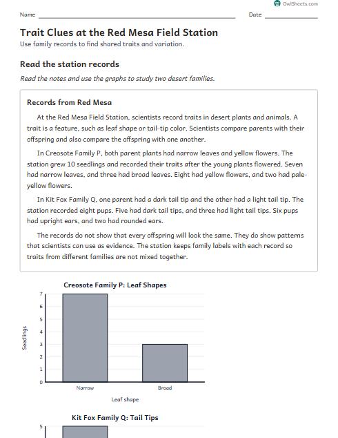 Trait Clues at the Red Mesa Field Station worksheet preview