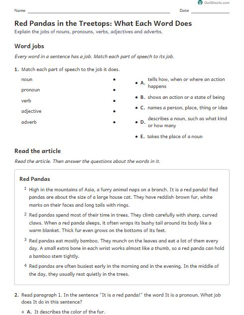 Red Pandas in the Treetops: What Each Word Does worksheet preview