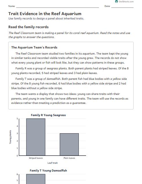 Trait Evidence in the Reef Aquarium worksheet preview
