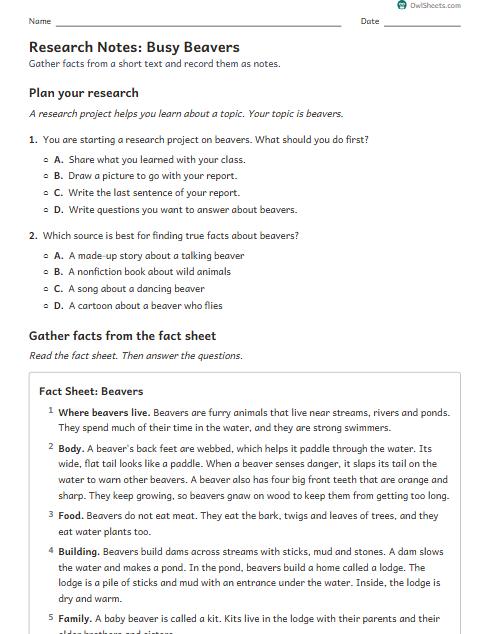 Research Notes: Busy Beavers worksheet preview