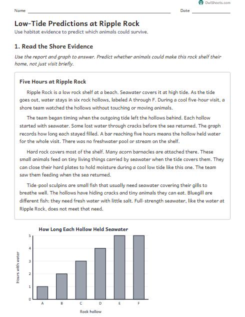 Low-Tide Predictions at Ripple Rock worksheet preview
