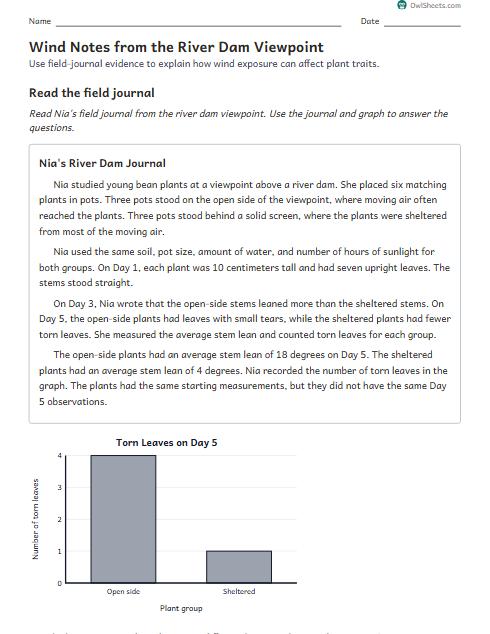 Wind Notes from the River Dam Viewpoint worksheet preview