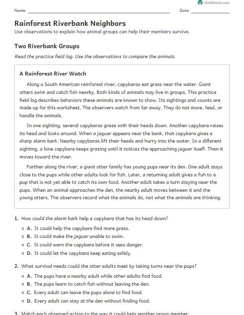 Rainforest Riverbank Neighbors worksheet preview