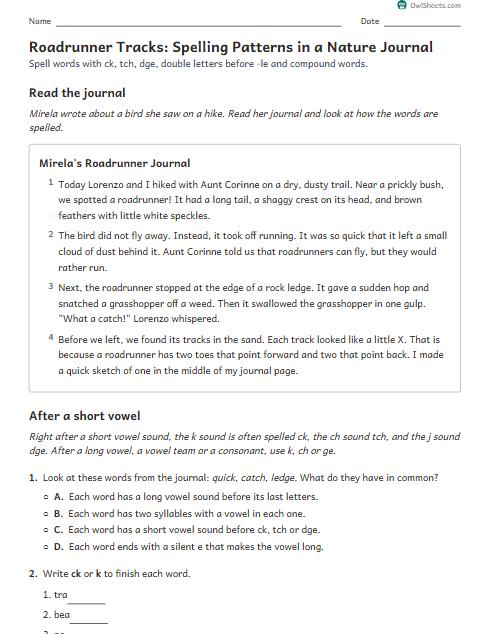 Roadrunner Tracks: Spelling Patterns in a Nature Journal worksheet preview