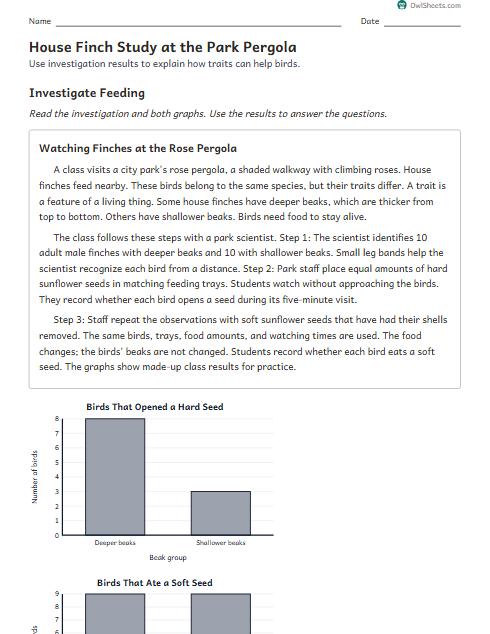 House Finch Study at the Park Pergola worksheet preview