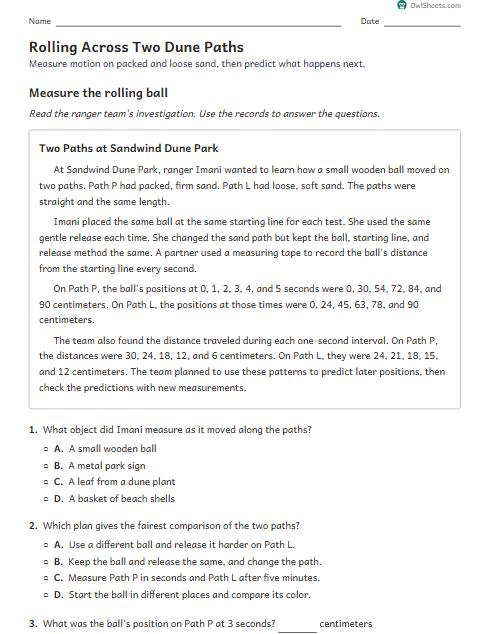 Rolling Across Two Dune Paths worksheet preview