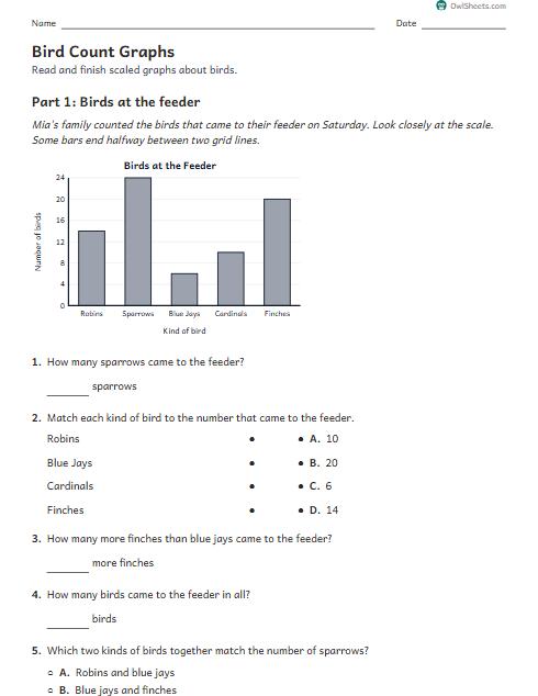 Bird Count Graphs worksheet preview
