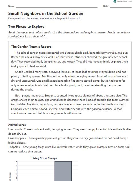 Small Neighbors in the School Garden worksheet preview