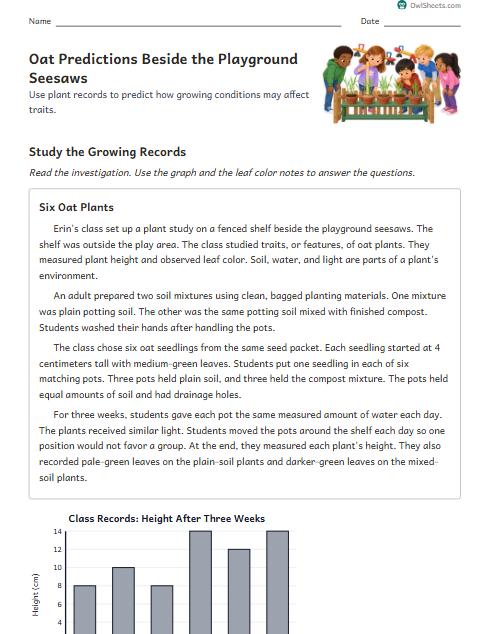 Oat Predictions Beside the Playground Seesaws worksheet preview