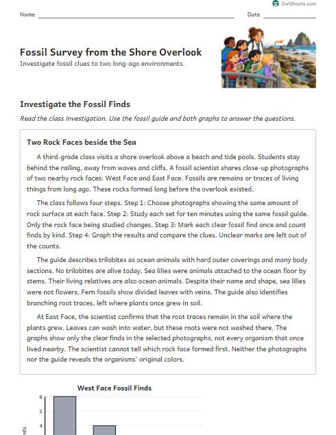 Fossil Survey from the Shore Overlook worksheet preview