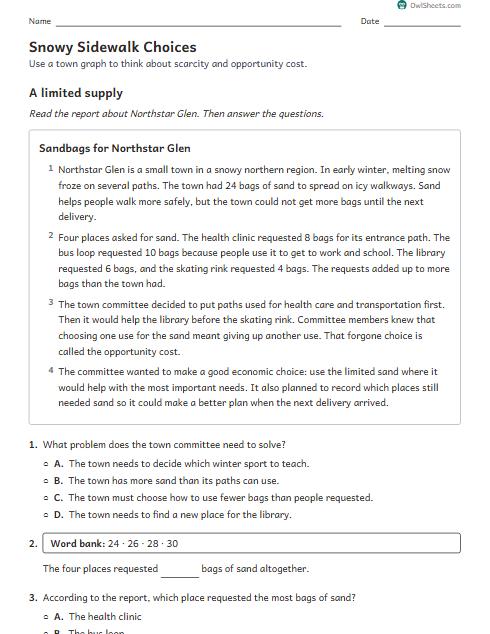 Snowy Sidewalk Choices worksheet preview