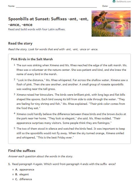 Spoonbills at Sunset: Suffixes -ant, -ent, -ance, -ence worksheet preview