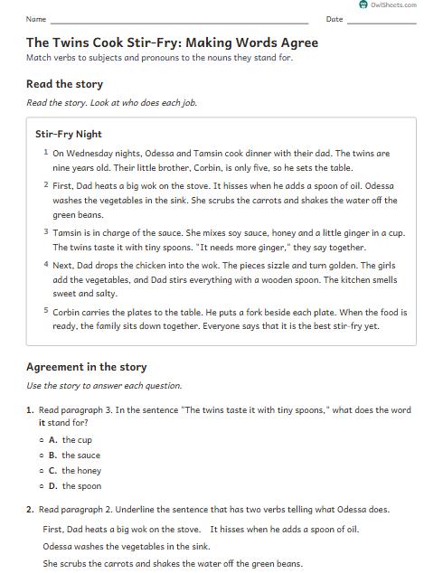 The Twins Cook Stir-Fry: Making Words Agree worksheet preview