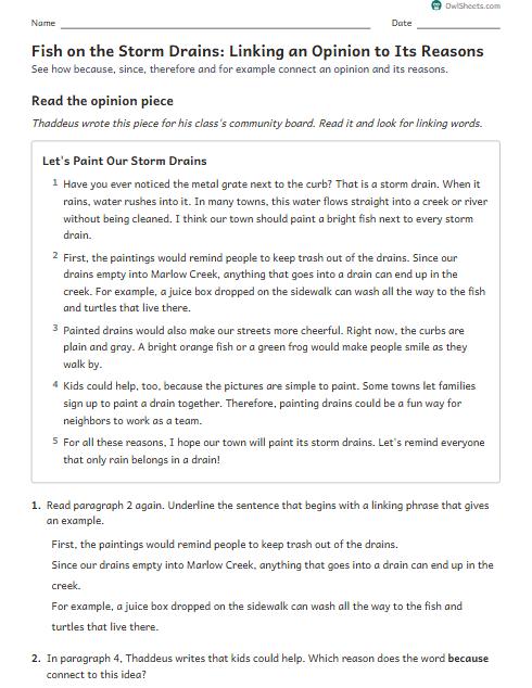 Fish on the Storm Drains: Linking an Opinion to Its Reasons worksheet preview