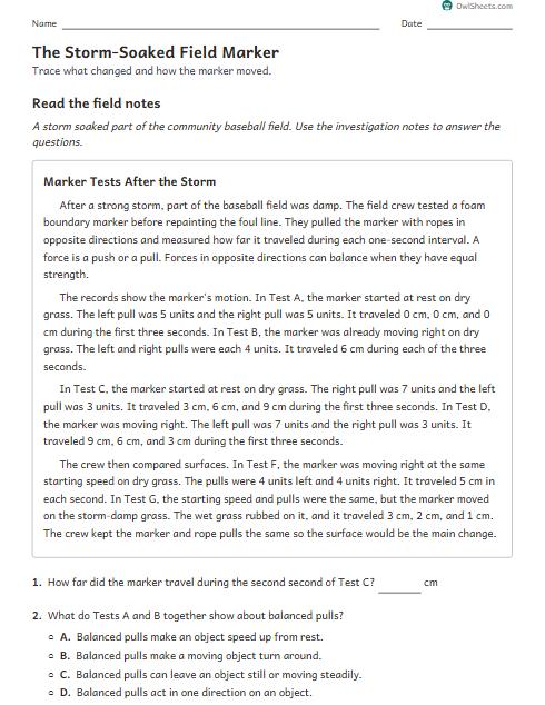 The Storm-Soaked Field Marker worksheet preview