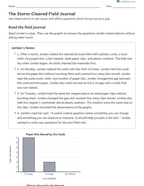 The Storm-Cleared Field Journal worksheet preview
