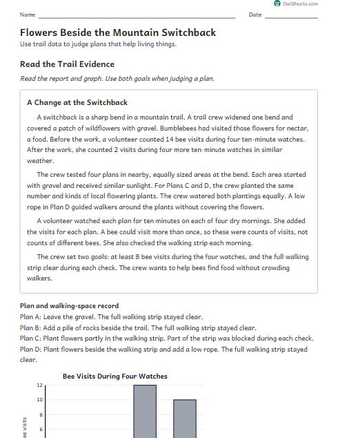 Flowers Beside the Mountain Switchback worksheet preview