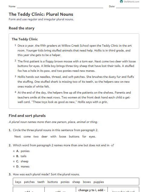 The Teddy Clinic: Plural Nouns worksheet preview
