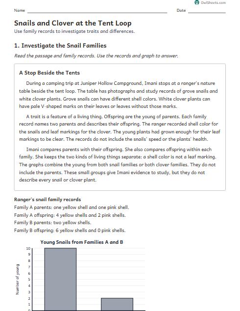 Snails and Clover at the Tent Loop worksheet preview