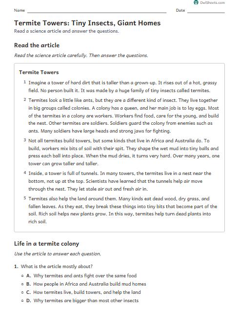 Termite Towers: Tiny Insects, Giant Homes worksheet preview