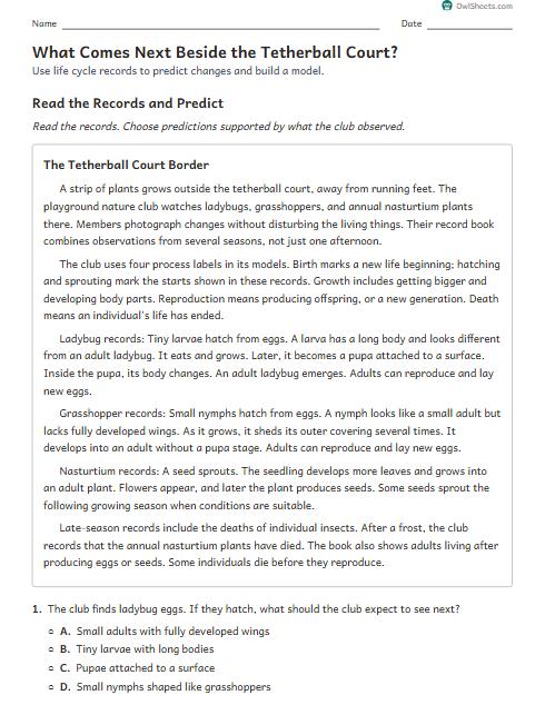 What Comes Next Beside the Tetherball Court? worksheet preview