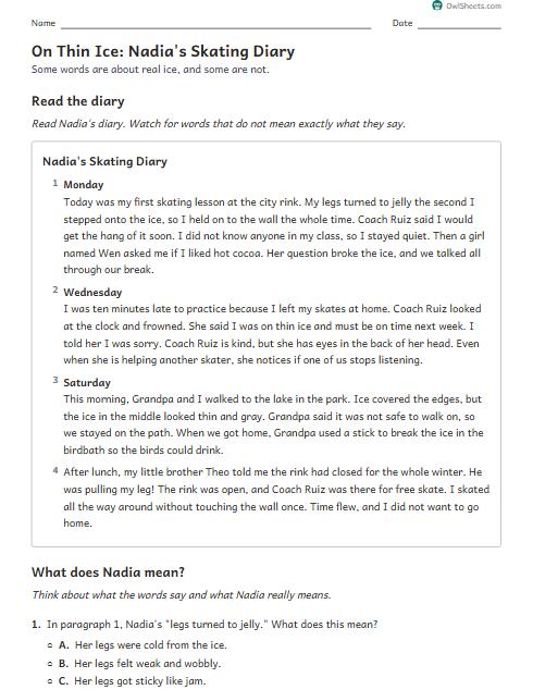 On Thin Ice: Nadia's Skating Diary worksheet preview