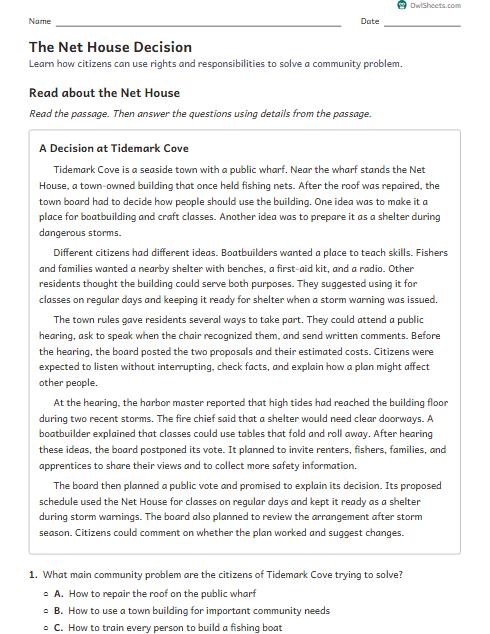 The Net House Decision worksheet preview